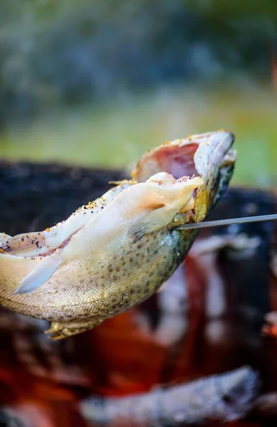 Sizzling Close Fish Cooking Campfire Captured Mesmerizing Resolution — Stock Photo, Image