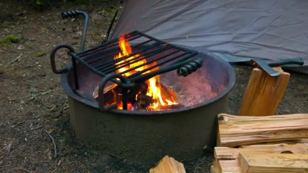 Feu Camp Confortable Gros Plan Feu Crépitant Sur Terrain Camping — Video