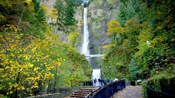 Herfst Majesteit Multnomah Falls Oregon Usa Bedecked Levendige Kleuren Gepresenteerd — Stockvideo