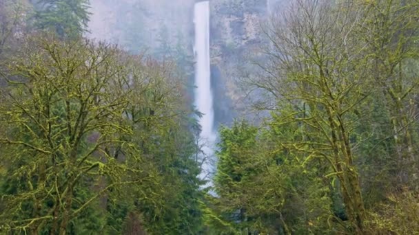Hösten Majestät Multnomah Falls Oregon Usa Sängkläder Levande Färger Presenteras — Stockvideo