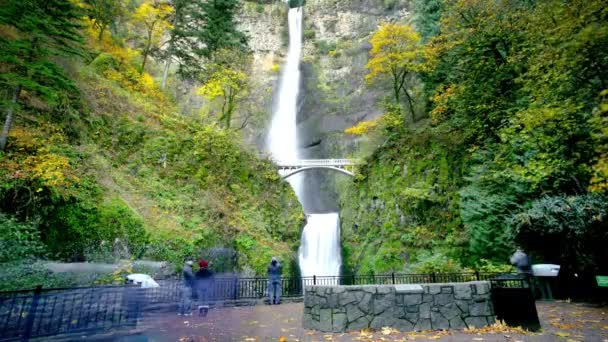 Hösten Majestät Multnomah Falls Oregon Usa Sängkläder Levande Färger Presenteras — Stockvideo