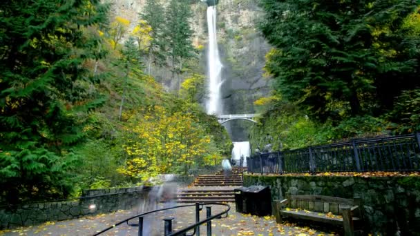 Podzimní Výsost Multnomah Falls Oregonu Usa Bedekked Vibrant Colors Presented — Stock video
