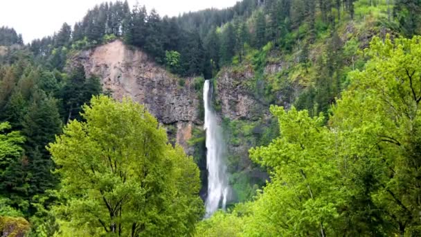 Majestad Otoñal Multnomah Cae Oregon Adornado Colores Vibrantes Presentado Una — Vídeo de stock