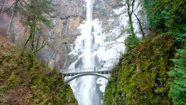 Autumn Majesty Multnomah Falls Oregon Usa Leuchtenden Farben Und Atemberaubender — Stockvideo