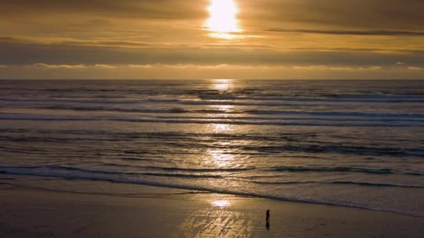 Symphonie Céleste Time Lapse Soleil Couchant Peignant Horizon Dévoilé Dans — Video