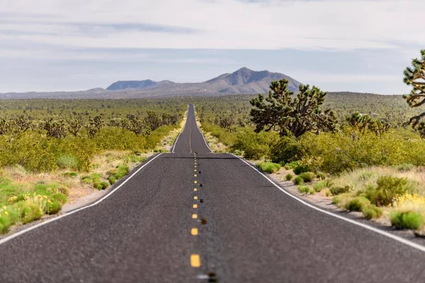 Desert Serenity Panoramisch Uitzicht Een Lege Weg Omgeven Door Red — Stockfoto