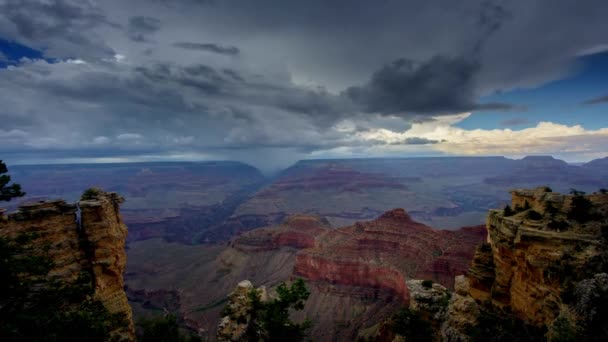 Thunderstorm Grand Canyon National Park Footage Stormy Day — Stock Video