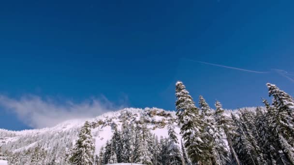 冬のワンダーランド 4Kビデオ 大雪のブランケンシング山のトールパインツリーとスカイ — ストック動画