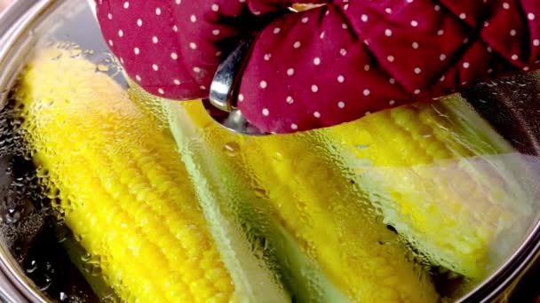 Flame Kissed Delight Primer Plano Cocinar Maíz Amarillo Sobre Fuego — Vídeo de stock