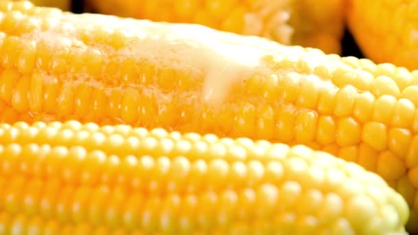 Zlatá Shovívavost Detailní Záběr Tavícího Másla Čerstvě Uvařené Žluté Kukuřici — Stock video