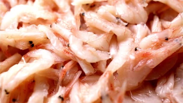 Tradition Savoureuse Dolly Shot Petites Crevettes Salées Pour Préparation Kimchi — Video