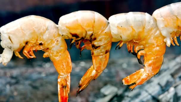 Pesta Hutan Close Shrimp Skewer Sizzling Campfire Wilderness — Stok Video