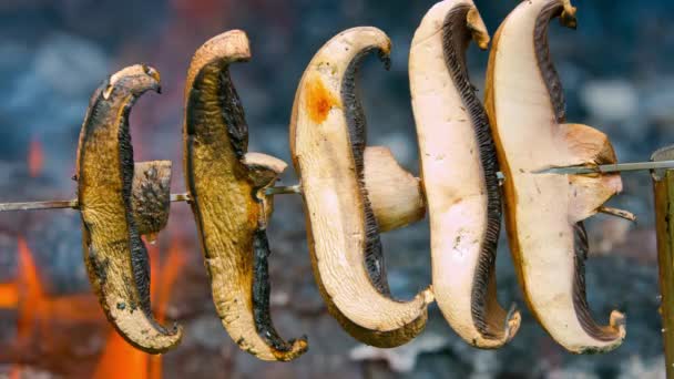 Saboreie Livre Close Mushroom Skewer Cooking Campfire — Vídeo de Stock