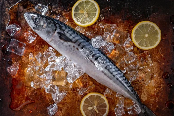 Citrus Delight Świeże Surowe Ryby Makreli Cytryną Zesty Wykwintnym Zbliżeniu — Zdjęcie stockowe