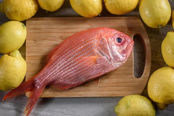 Canlı Yakın Çekim Taze Çiğ Kırmızı Balık Lezzetli Limon Aksanı — Stok fotoğraf
