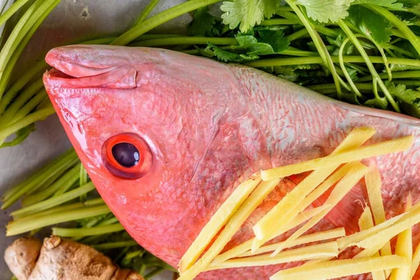 Vibrant Close Fresh Raw Red Snapper Fish Zesty Lemon Accent — стокове фото
