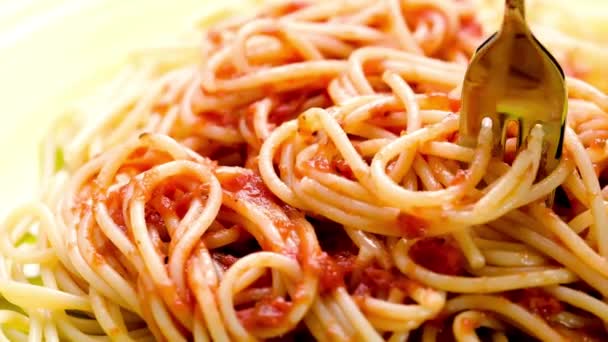 Culinary Finishing Touch Dolly Shot Sprinkling Parmesan Cheese Spaghetti Tomato — Stock Video