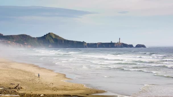 沿岸セレニティ オレゴン州ニューポートの美しいヤキナ湾の4Kビデオ — ストック動画