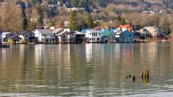 Riverside Tranquility Video Floating Homes Willamette River Portland Oregon Usa — Wideo stockowe