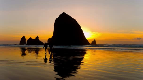Серенада Заходу Сонця Video Haystack Rock Dusk Cannon Beach Oregon — стокове відео
