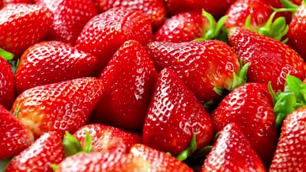 Sensación Dulce Primer Plano Fruta Fresca Fresa — Vídeos de Stock