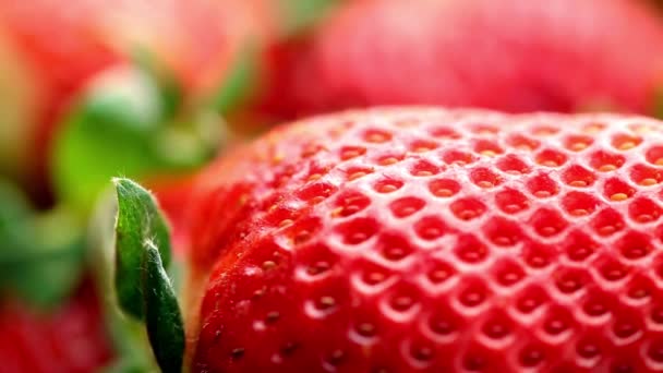 Sensação Doce Close Frutas Frescas Morango — Vídeo de Stock
