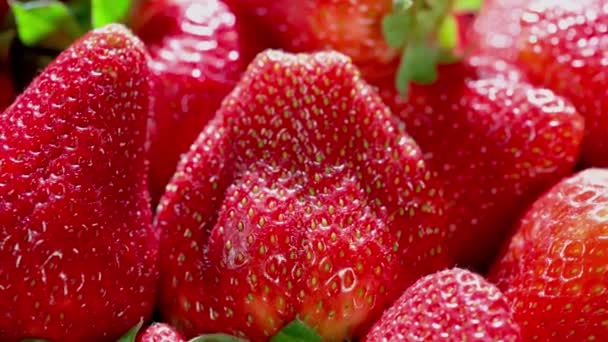 Słodkie Uczucie Zbliżenie Świeżych Owoców Truskawkowych — Wideo stockowe