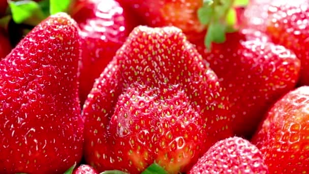 Sensación Dulce Primer Plano Fruta Fresca Fresa — Vídeos de Stock