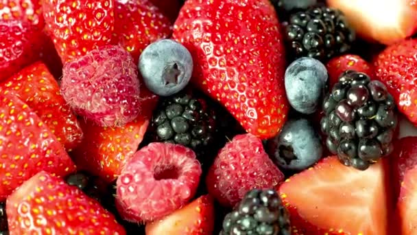 ベリーメドリー 新鮮な果実のイチゴとベリーの4Kクローズアップ — ストック動画