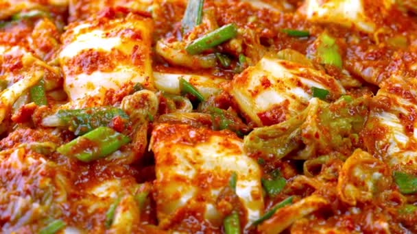 Arte Culinario Dolly Shot Kimchi Recién Cocinado Cerca — Vídeo de stock