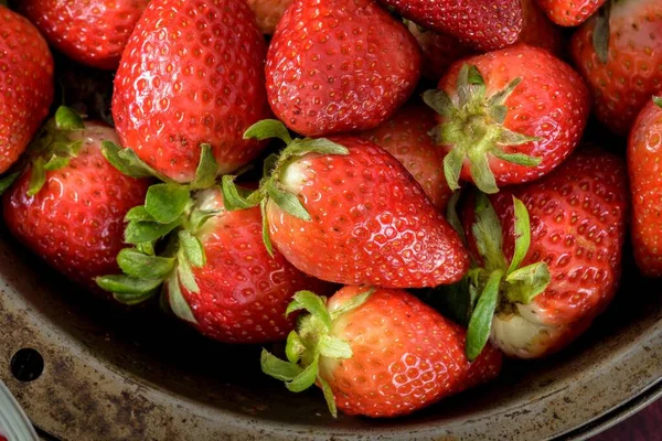 Bär Bliss Top View Fresh Strawberries Berries Bowl — Stockfoto