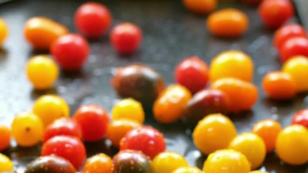 Příroda Malé Drahokamy Close Fresh Cherry Tomatoes — Stock video