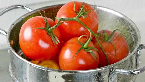 Krispig Och Ren Video Tvätt Färska Tomater Med Rinnande Kranvatten — Stockvideo