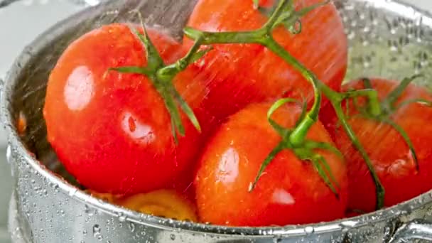 Chrupiące Czyste Filmy Praniem Świeżych Pomidorów Bieżącą Wodą Kranu — Wideo stockowe
