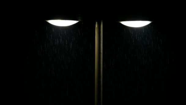 Regengeküsste Straßenlaterne Video Von Straßenlaternen Bei Regen — Stockvideo
