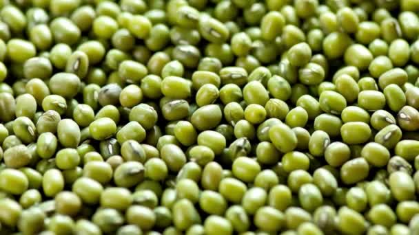 Nature Nutrient Rich Gems Closure Mung Beans — стоковое видео