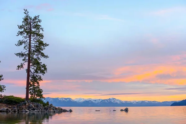 Tranquil Tahoe Beauty Gambar Danau Tahoe Pemandangan Dari Lakeshore Dengan — Stok Foto