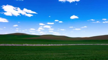 Nature 's Theater: Kaliforniya, ABD' de Verdant Buğday Sahası Üzerinde Dramatik Bulutlu Gökyüzünün 4K Videosu