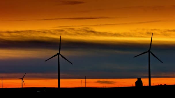 日落时分麦田风力涡轮机 4K视频 — 图库视频影像