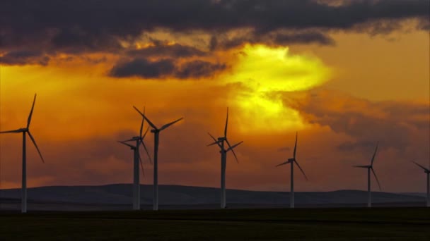 Rüzgar Türbinleri Güzel Gün Batımına Bulutlu Gökyüzüne Karşı Video — Stok video