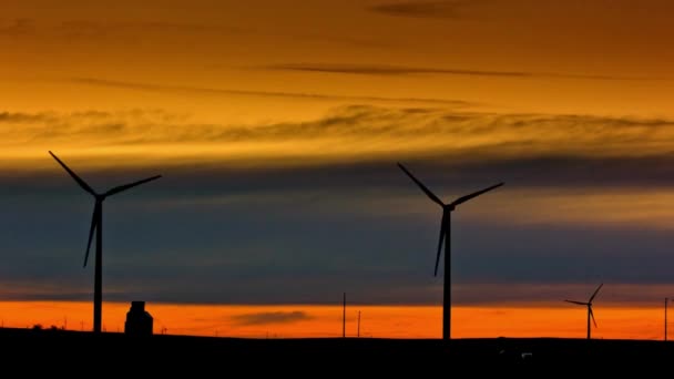 Windturbines Tarweveld Bij Zonsondergang Met Graanlift Video — Stockvideo