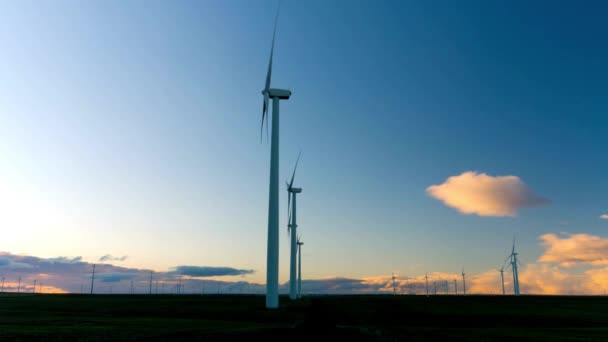 Turbinas Eólicas Campo Trigo Atardecer Con Elevador Granos Vídeo — Vídeo de stock