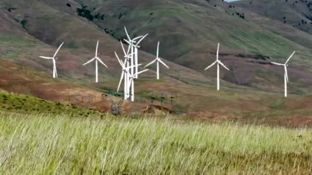 Wheatgrass Mountain Hill Rüzgar Türbinleri Video — Stok video