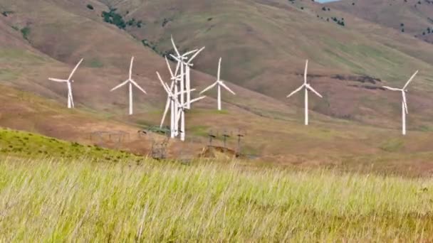 ウィートグラス山丘の風力タービン 4Kビデオ — ストック動画