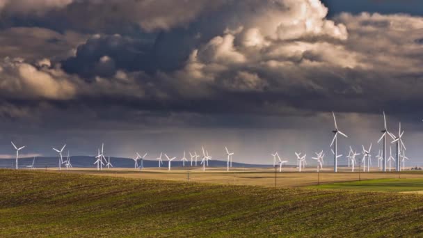 Windturbines Tarweveld Video Met Dramatische Wolkenlucht — Stockvideo