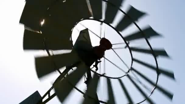 Sonnenbeleuchtete Windmühle Aktion Video Von Rotorblättern — Stockvideo