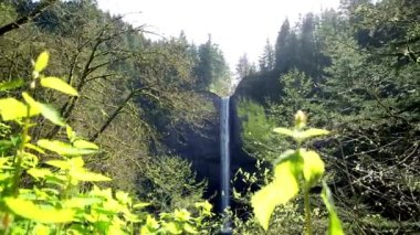 Latourell Şelale Şelalesi Şelalesi Güzelliği: Columbia Gorge Area 'nın 4K Videosu, Oregon, ABD