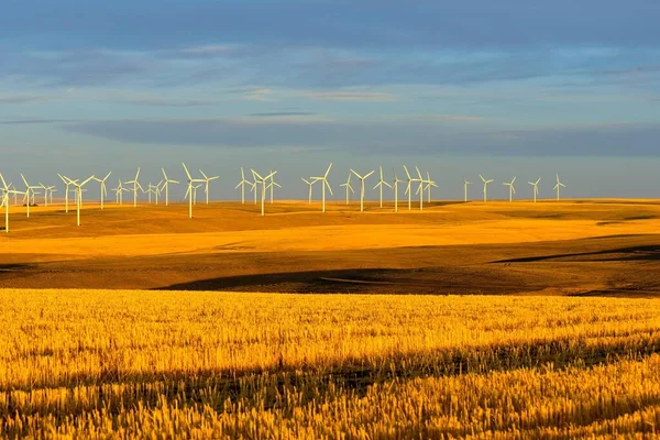 麦田风力涡轮机 具有戏剧性云天的4K图像 — 图库照片