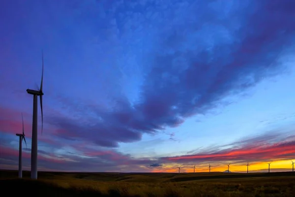 Ανεμοστρόβιλοι Χωράφι Σιτάρι Στο Ηλιοβασίλεμα Πολύχρωμη Εικόνα Sky — Φωτογραφία Αρχείου