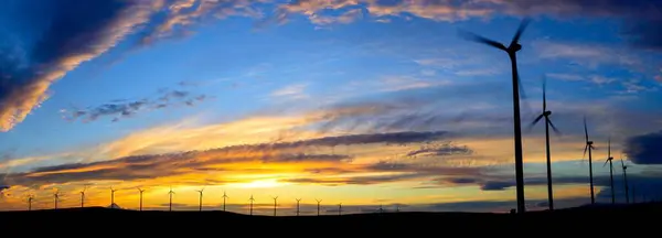 Wind Turbines Wheat Field Sunset Colorful Sky Image — Stock Photo, Image